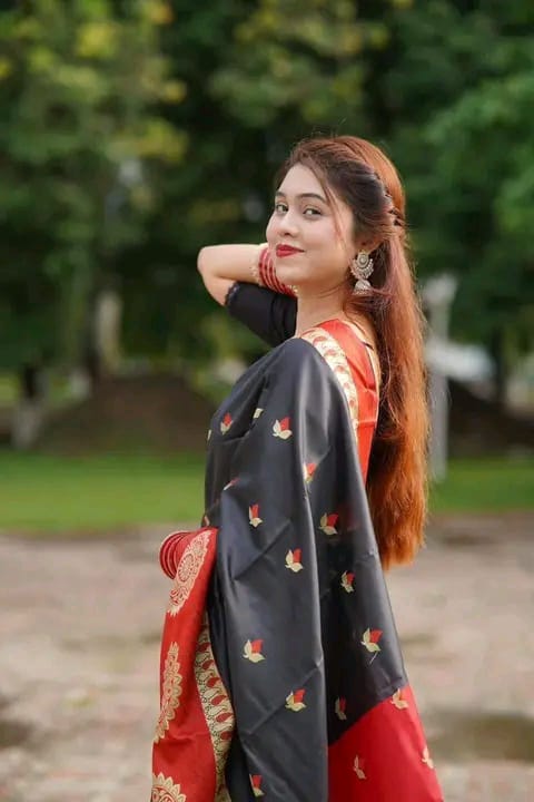 Soft silk katan sharee