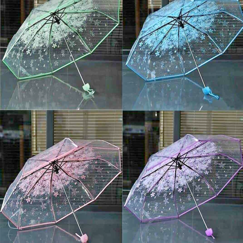 Transparent Umbrella